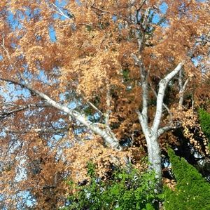 Meet your Posher, Cassie